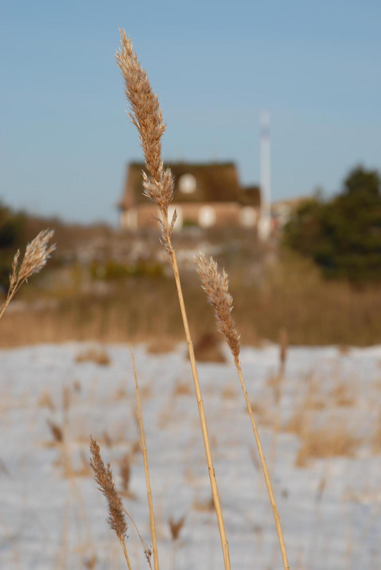 Die Kleine Wittburg Sylt Exterior foto